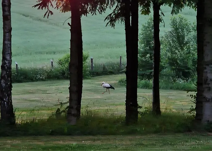 Holiday home Nad Stawem